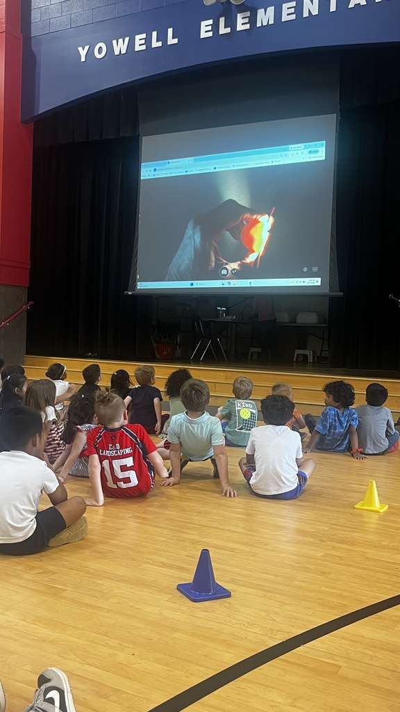 A close-up view shows students seated on the floor, focused on a projected image of an egg being candled, highlighting details inside the egg.