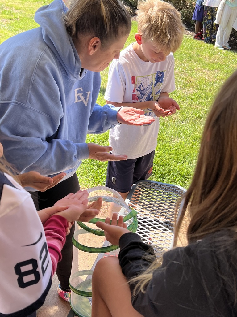 An adult and several children examine small items in their hands near a mesh butterfly habitat container during an outdoor activity.