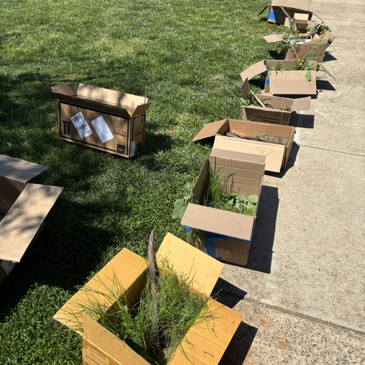 Mr. Foster's agriculture students are demonstrating their understanding of reptile cage setup today in Small Animal Care. #BDP #BetterEveryDay #ForksUp