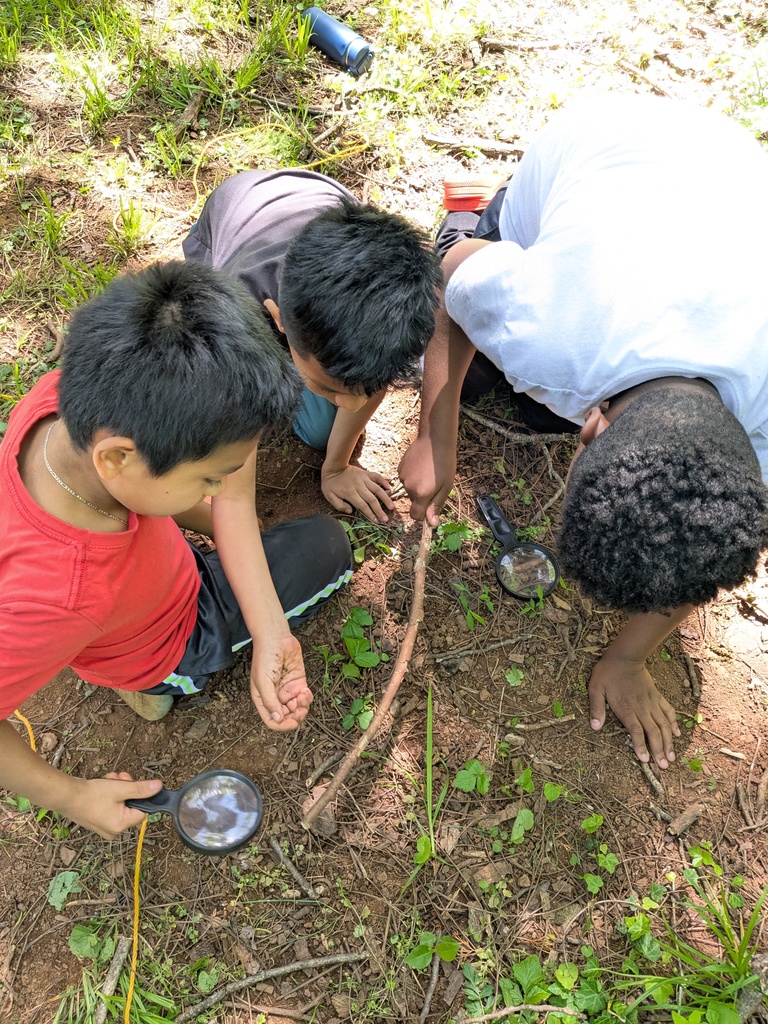 A small group of students gathers on the ground, using magnifying glasses and sticks to investigate soil and small organisms.