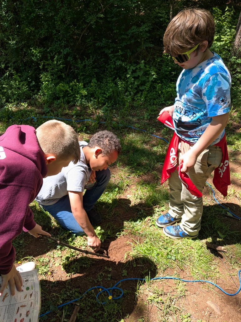 Three elementary students kneel on the ground in a wooded area, using sticks to dig in the soil while observing closely.