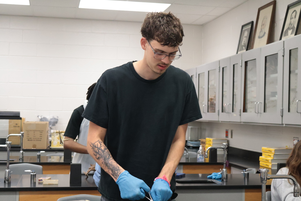 A person in a black shirt and glasses, wearing gloves, stands in a lab with a sink and cabinets.