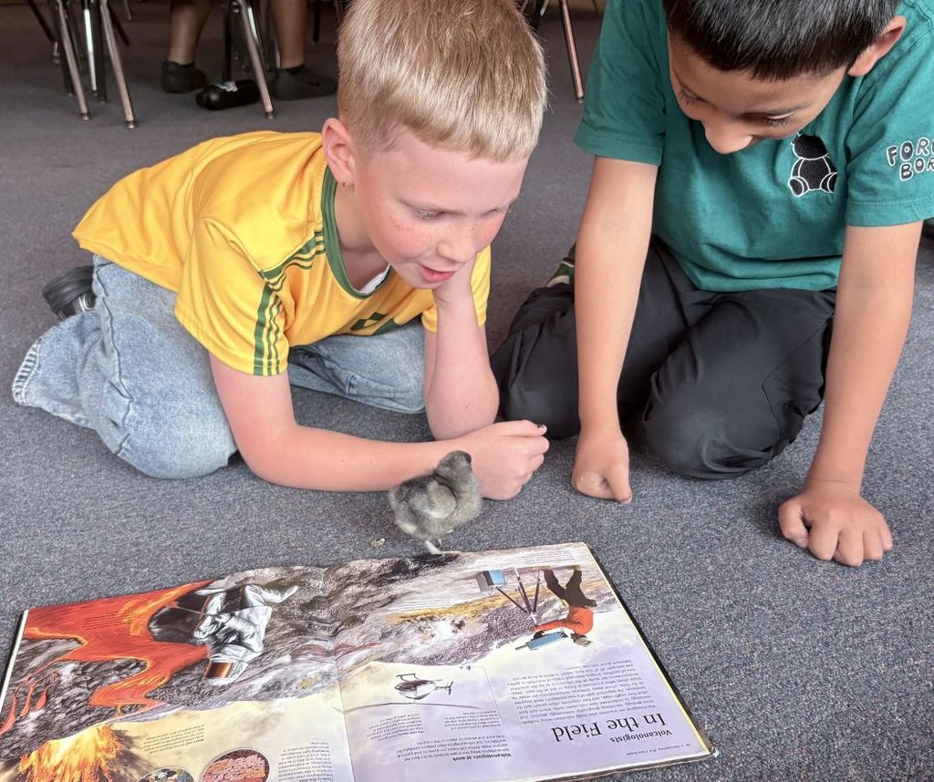 Two boys on a carpet, one holding a small animal, the other looking at a book with colorful illustrations.