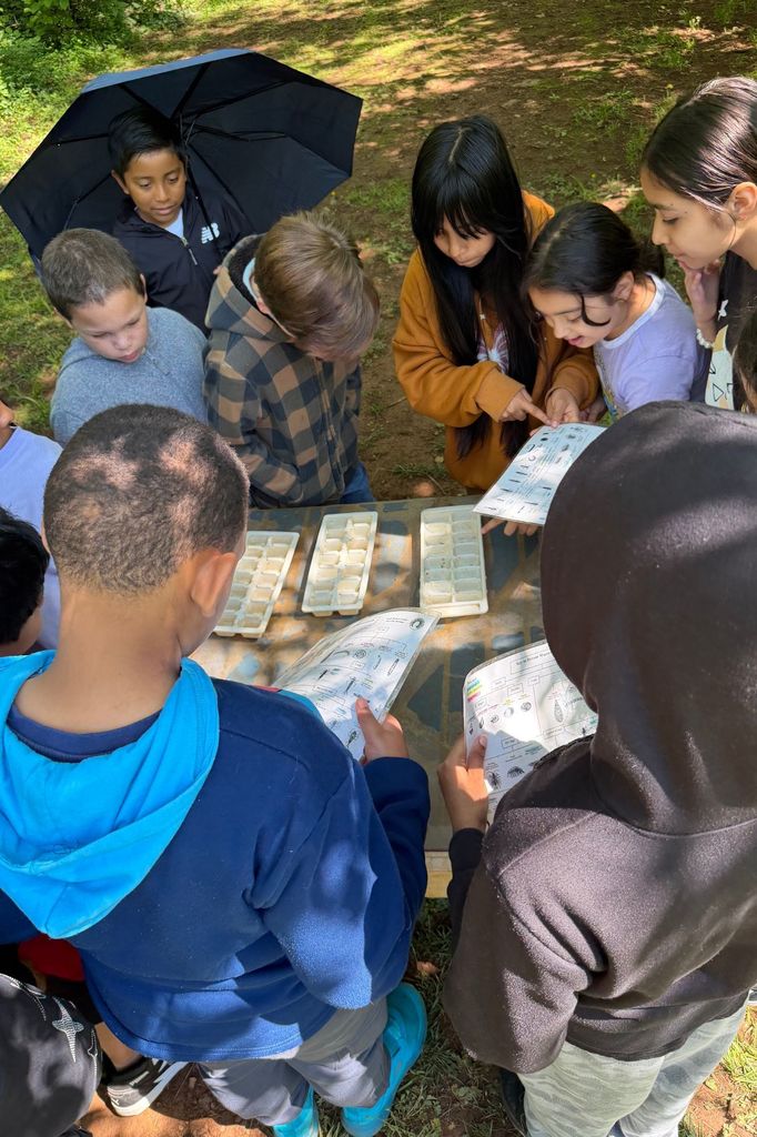 Children gather around a table in a wooded area, holding books and looking at paper. Some are holding umbrellas.