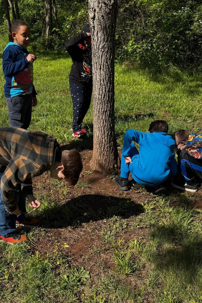 Five children of various ages are outside in a grassy area, examining the ground near a tree.