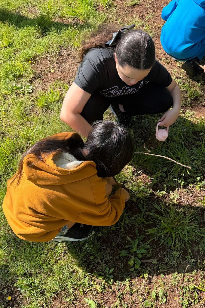 Two people crouch over grass; one in a black shirt and the other in a yellow jacket. They are focused on something on the ground.