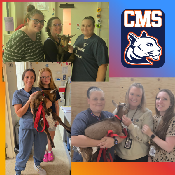 Collage featuring students, teachers, and healthcare staff posing with a small brown goat wearing a red leash. In the top photo, two staff members and a smiling student stand together holding the goat indoors. The lower left photo shows a healthcare worker and a student holding the goat in what appears to be a clinic or nurse’s office. The lower right photo shows a student and two school staff members smiling while holding the goat together. A blue and purple section of the collage displays the “CMS” cougar mascot logo. The overall design uses colorful gradient borders in orange, purple, and blue.