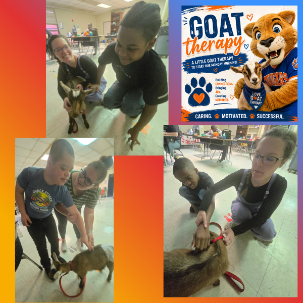 Collage of photos from a school “Goat Therapy” activity. Three photos show elementary-age students and a staff member interacting with a small brown goat on a red leash inside a classroom or activity room. In one photo, two smiling students kneel beside the goat while a staff member watches nearby. Another photo shows a student gently petting the goat while a teacher assists. The collage also includes a colorful graphic with a cougar mascot and the words “GOAT Therapy — A little goat therapy to start our Monday morning!” along with the phrases “Building Connections, Bringing Joy, Creating Memories” and “Caring. Motivated. Successful.” Bright orange, red, and blue gradient borders frame the collage.