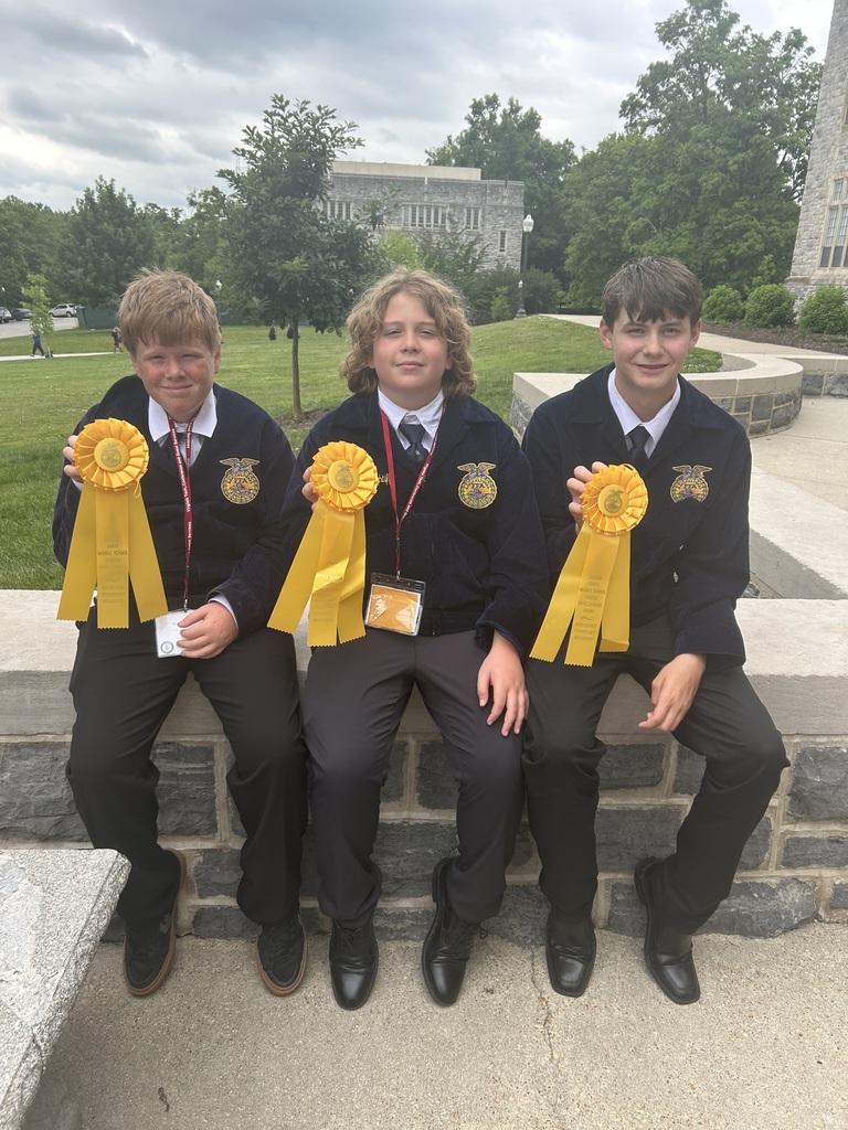 Three Culpeper Middle School FFA students from the Agricultural Mechanics team sit on a stone wall at Virginia Tech, proudly holding large yellow award ribbons they earned during the Virginia FFA Career Development Event competition.