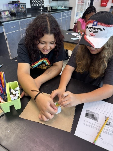 Two students work at a lab table, one wearing a cap, the other in a black t-shirt.