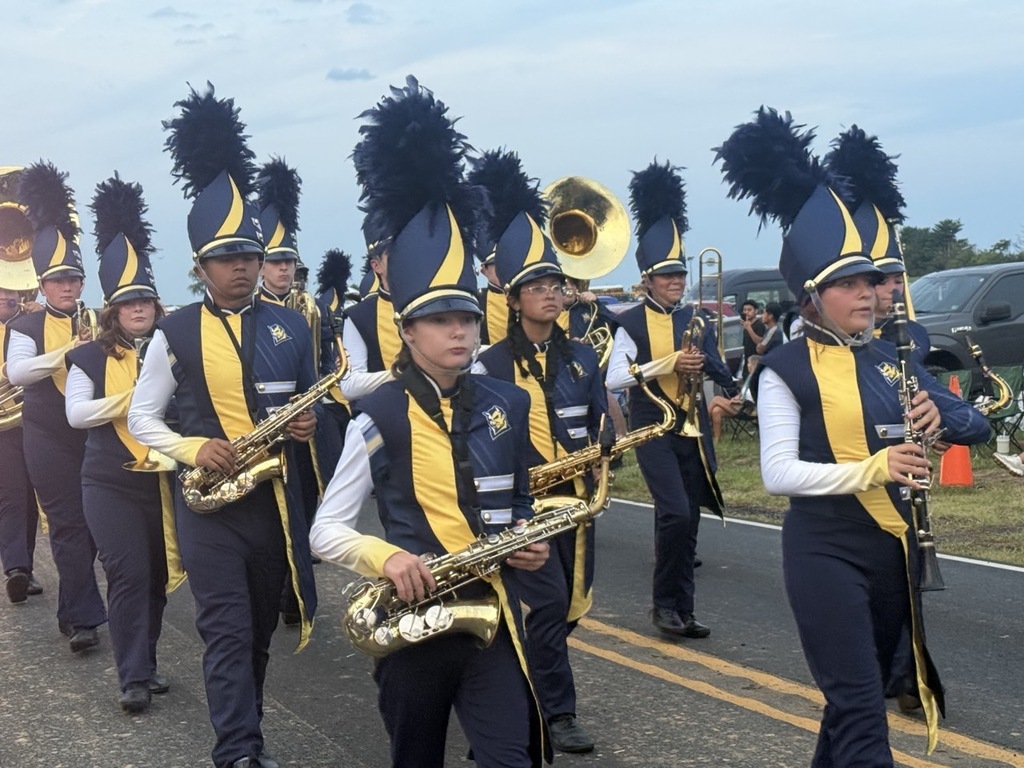 A marching band, dressed in blue and yellow uniforms with black hats, plays various instruments.