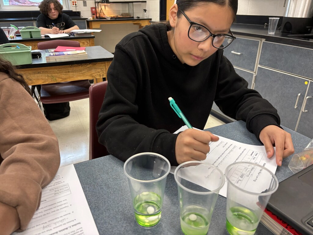 A student wearing glasses works on a science project with two green liquids in cups on a table.