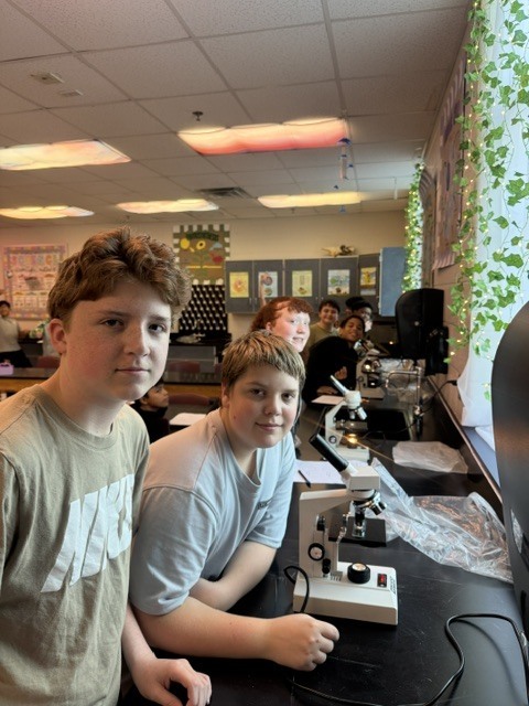 Two students, one with brown hair, look into a microscope in a classroom with green leaves and white curtains.