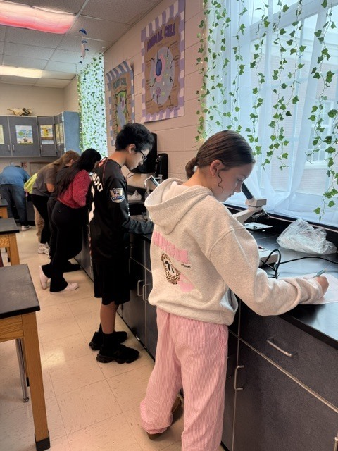 Multiple students in a classroom, one using a microscope while others are standing at a lab station.
