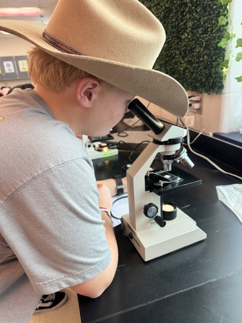 A person in a cowboy hat and gray shirt sits at a desk, using a microscope.