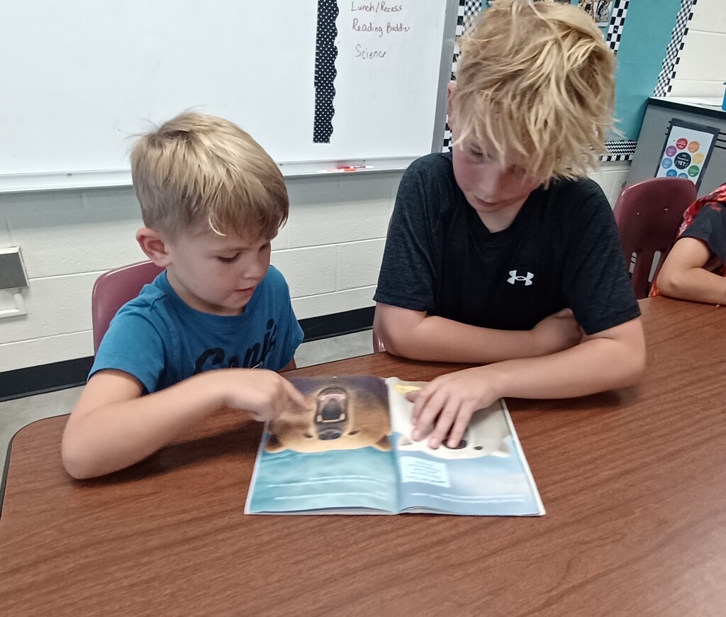 Two children sit at a desk reading a book. One wears a blue shirt, the other a black shirt.