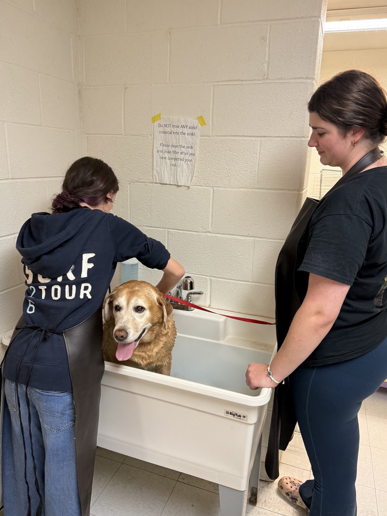 Two women in aprons wash a golden retriever in a white tub. One holds the dog's leash.