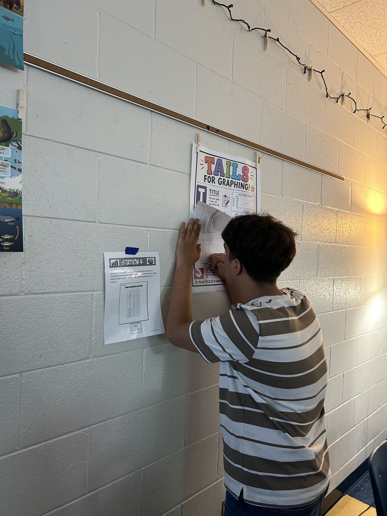 Person pinning a poster to a wall with "Tails for Adoption" text. White wall with other posters, string of lights, and a chair.