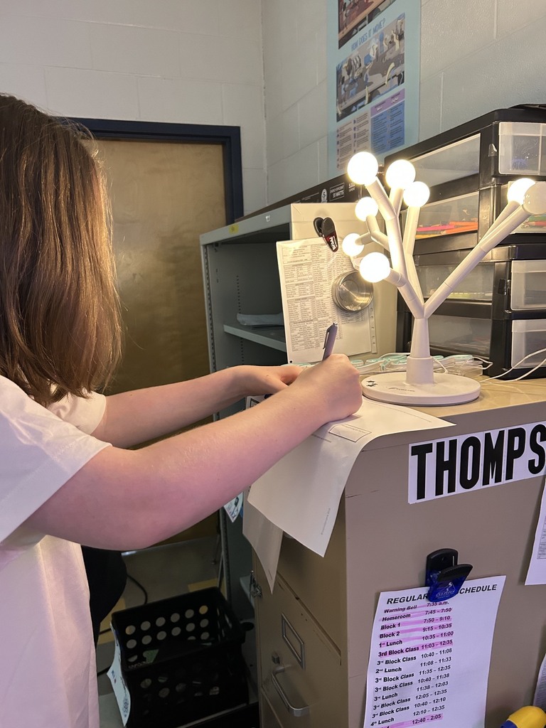 Person in white shirt writing on a document with a pen. Behind is a lighted tree lamp, a cabinet, and papers.