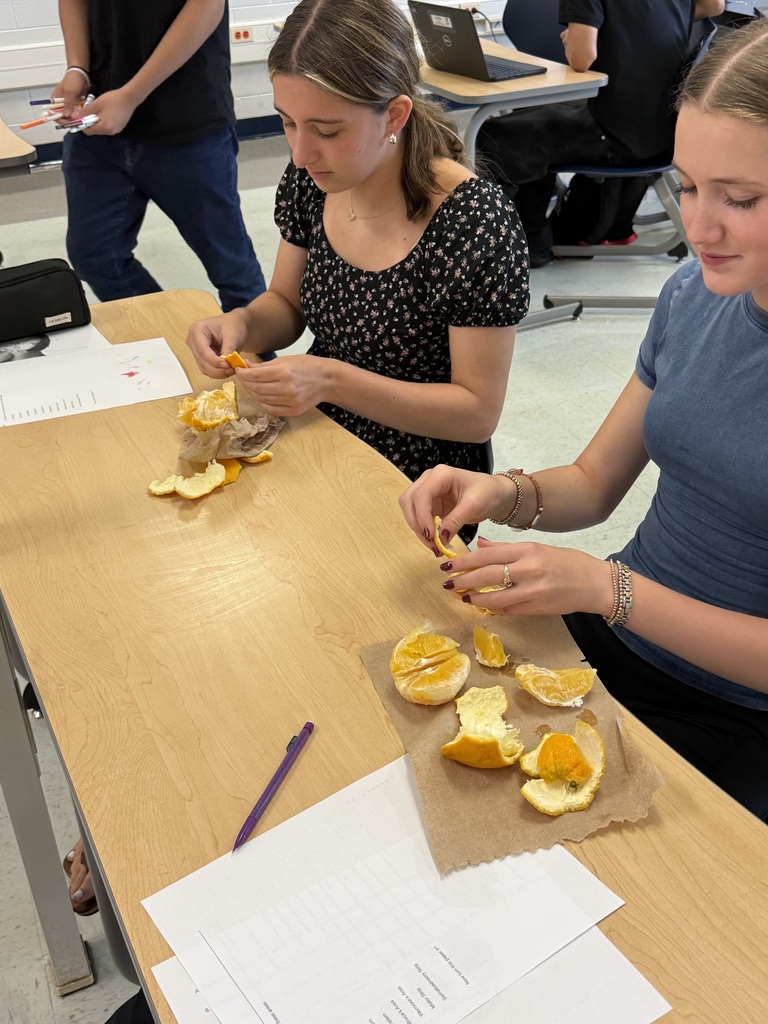 Two women seated at a desk peel orange slices. One is in a black top, the other in blue. Papers and a pen on the table.