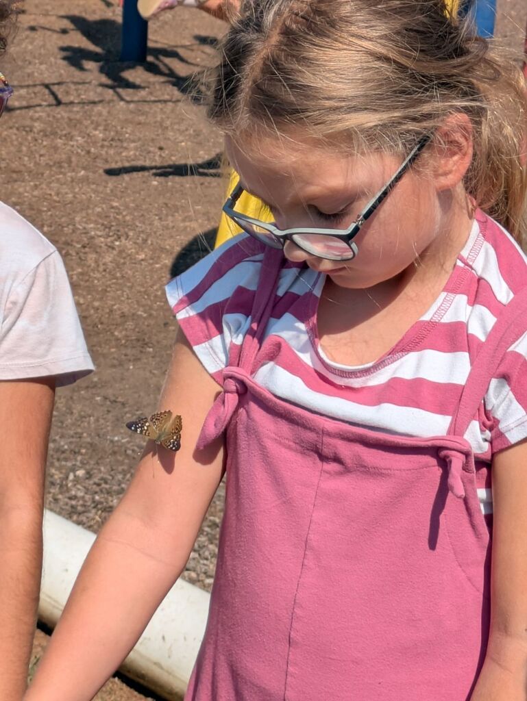A girl in a pink and white striped shirt looks down, a butterfly resting on her arm.
