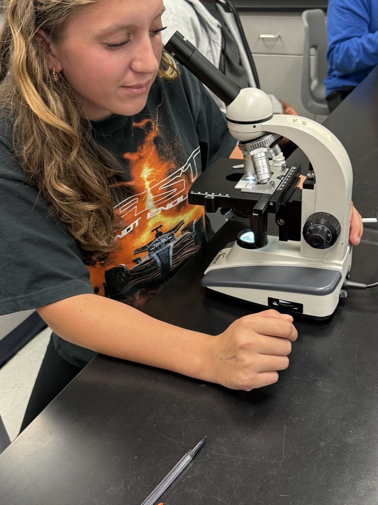 Students developing microscope skills
