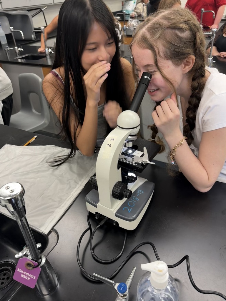 Students developing microscope skills