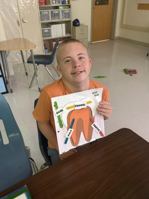 A young person in an orange shirt holds a diagram of a tooth in a classroom.