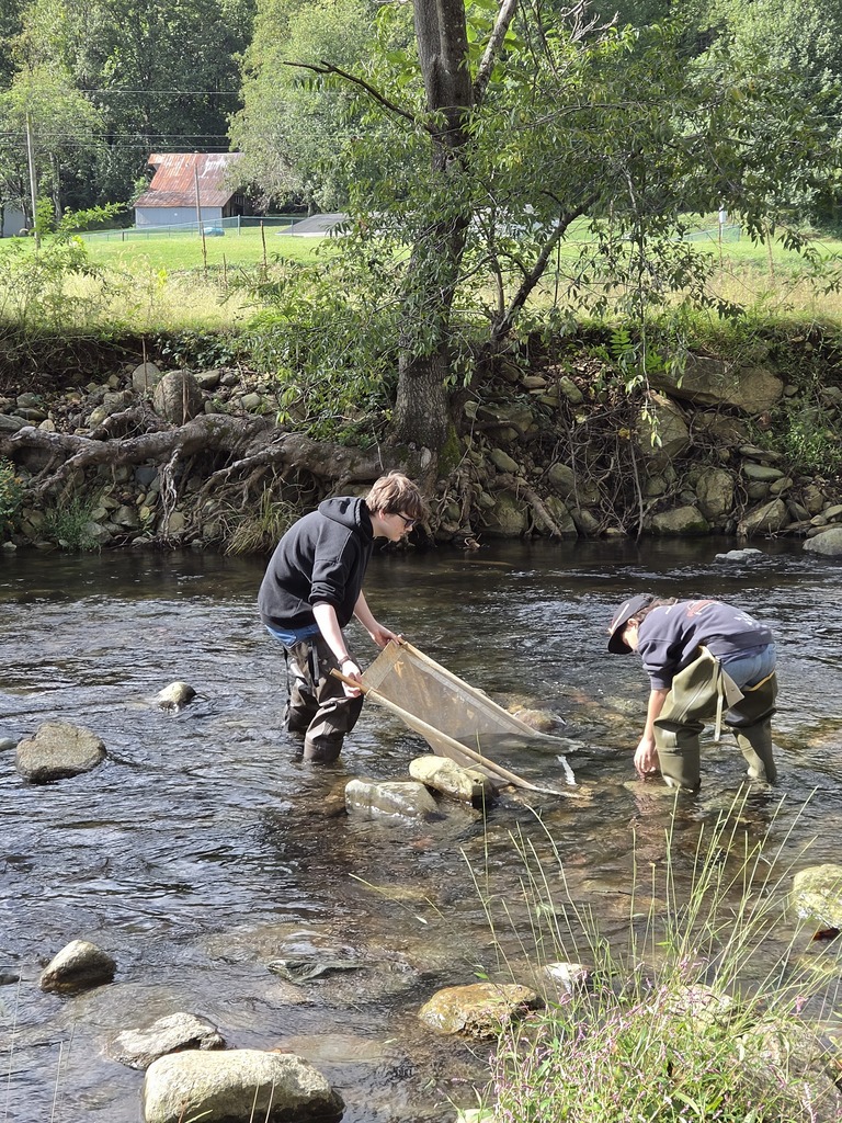 Two people are in a river with rocks, holding a net. They are near a grassy hill and trees.