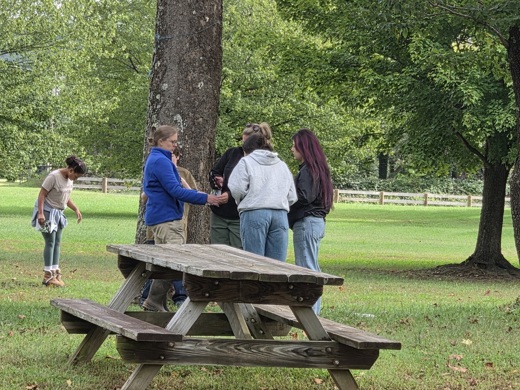 Five people gather around a picnic table in a park with trees, grass, and a wooden fence.