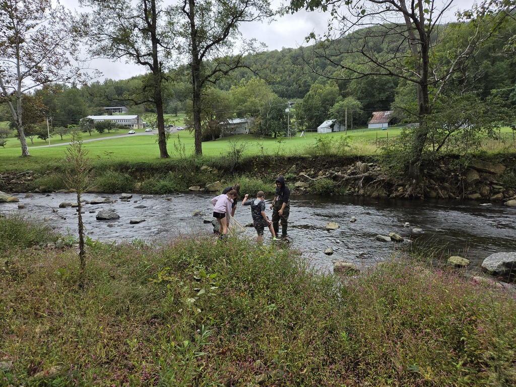 People stand in a river with rocks, surrounded by trees, green grass, and distant houses.