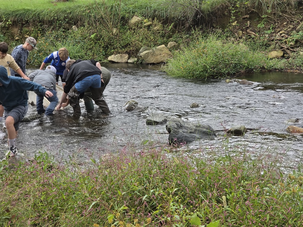 Students working together in a creek.