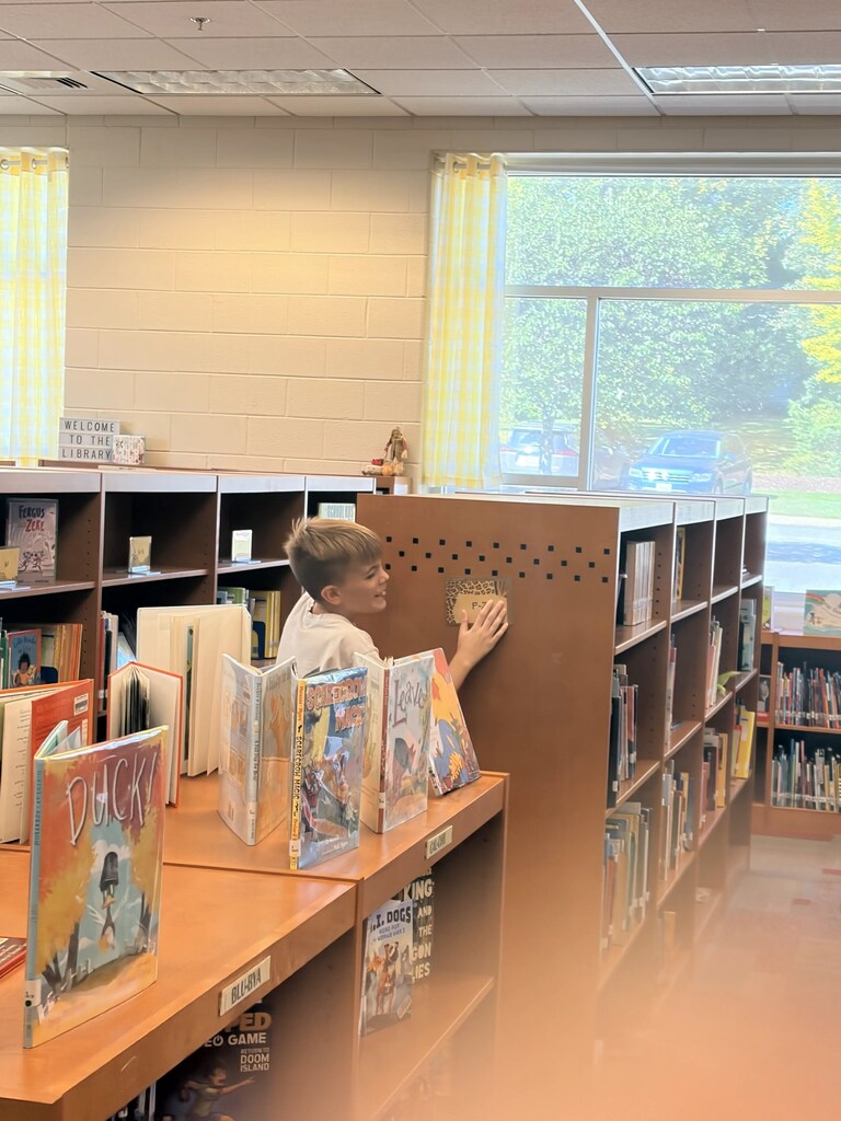 A young boy browses books in a library. Shelves filled with books are visible. Sunlight filters through yellow curtains.