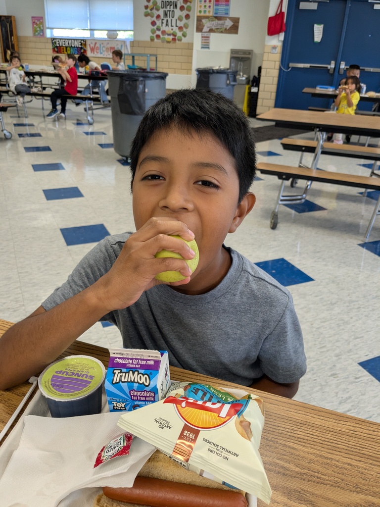 A young boy eating a sandwich, chips, and a hot dog in a school cafeteria. He holds a green apple.