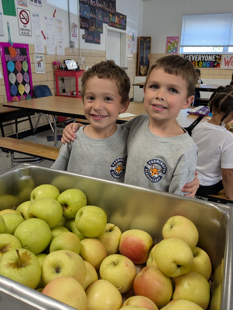Two young boys smiling and posing next to a container of apples in a classroom.