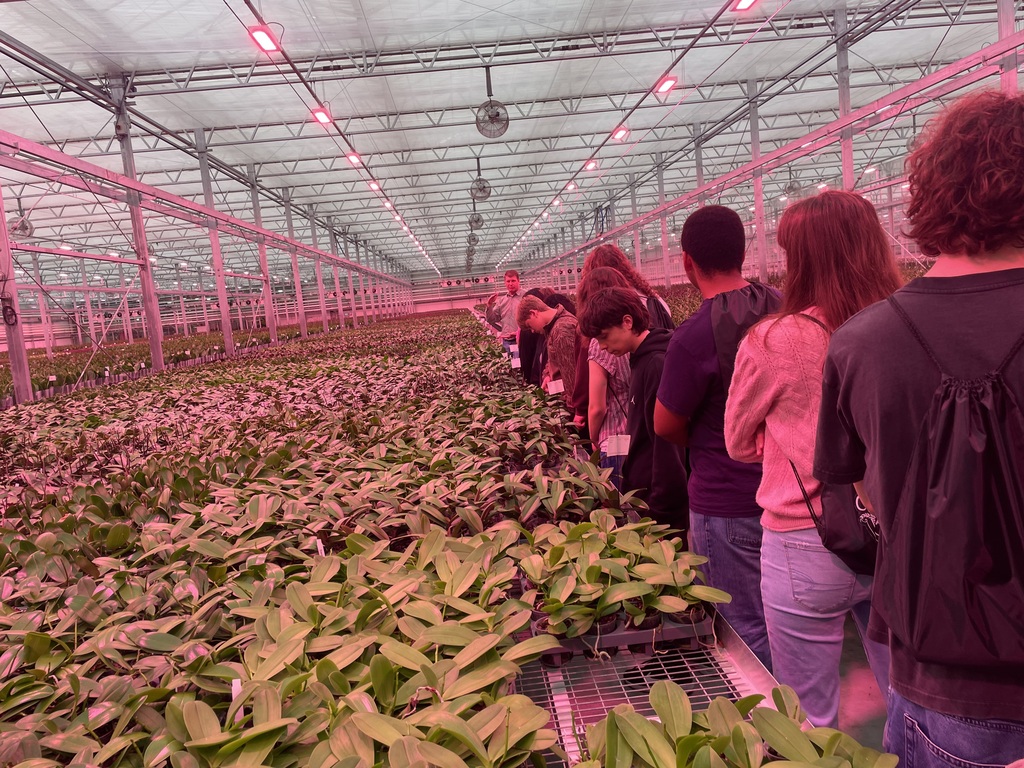 Several students and teachers standing in a greenhouse examining plants on raised platforms.