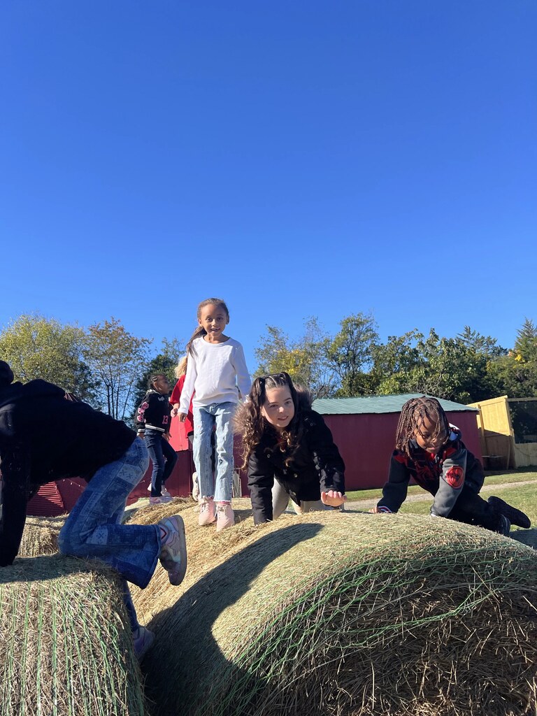 Several children climb and crawl on large bales of hay on a clear day.