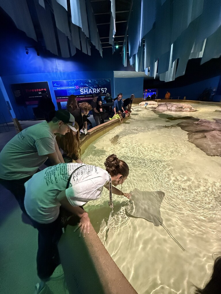 Students and teachers gather around an aquarium, with one touching a stingray.