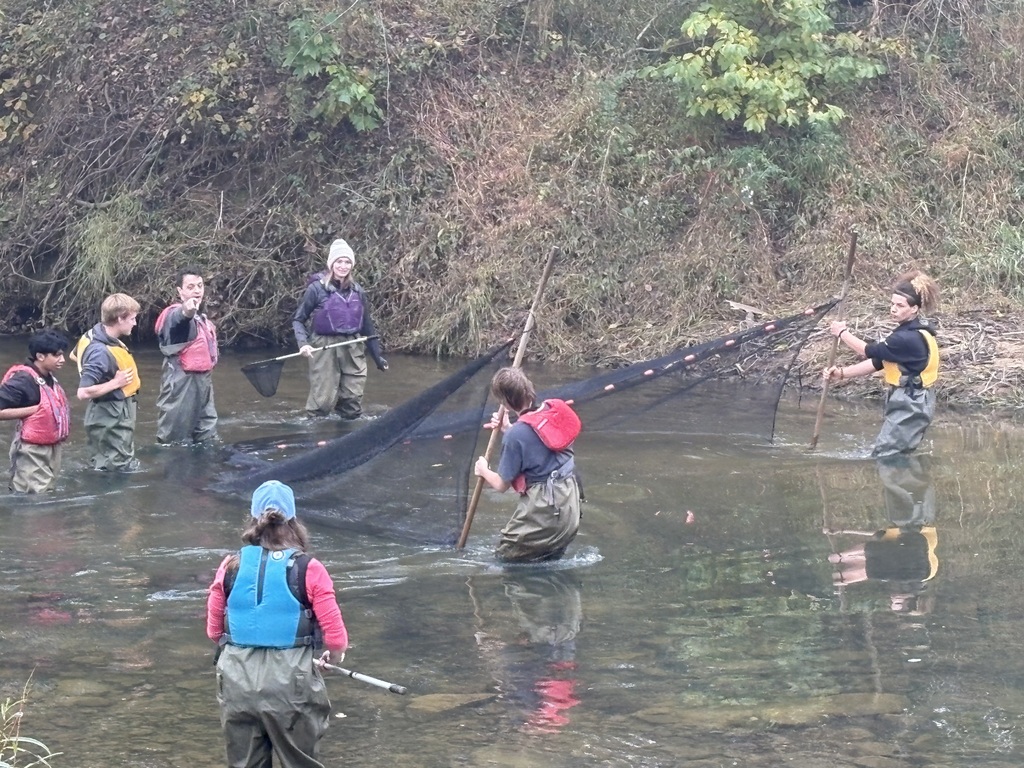 Group of students standing in a river, wearing life vests and holding nets, near a grassy area.