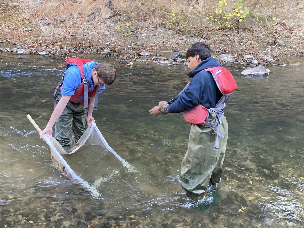 Two students in life jackets and waders collect water samples in a river with a net.