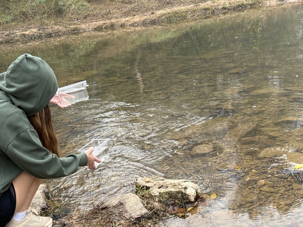 Person in green hoodie kneels by river, holding two clear containers, examining water and riverbed.