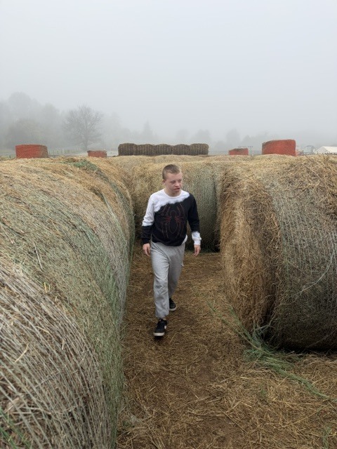 A person walks between large round hay bales in a field, wearing a black and white top.