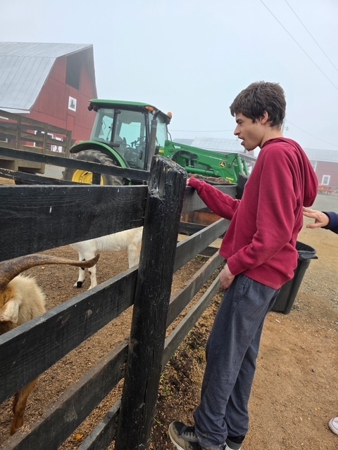 Boy stands by wooden fence with two goats; another person stands by fence with tractor in background.