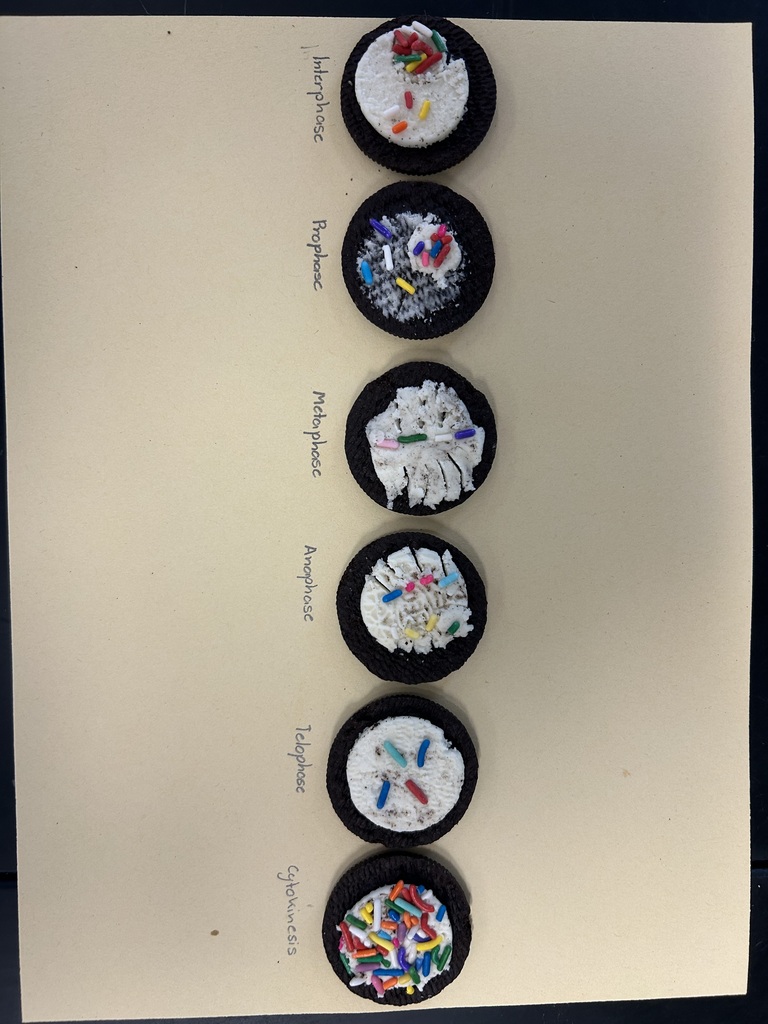 Five cookies with different toppings lined up on a white background. Each cookie has text next to it.