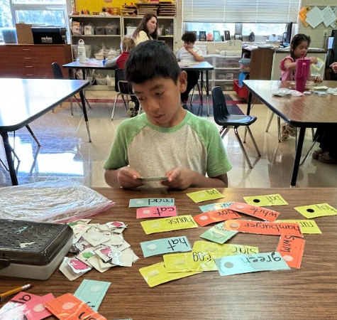 a student matches picture cards to their corresponding words while sitting at a table