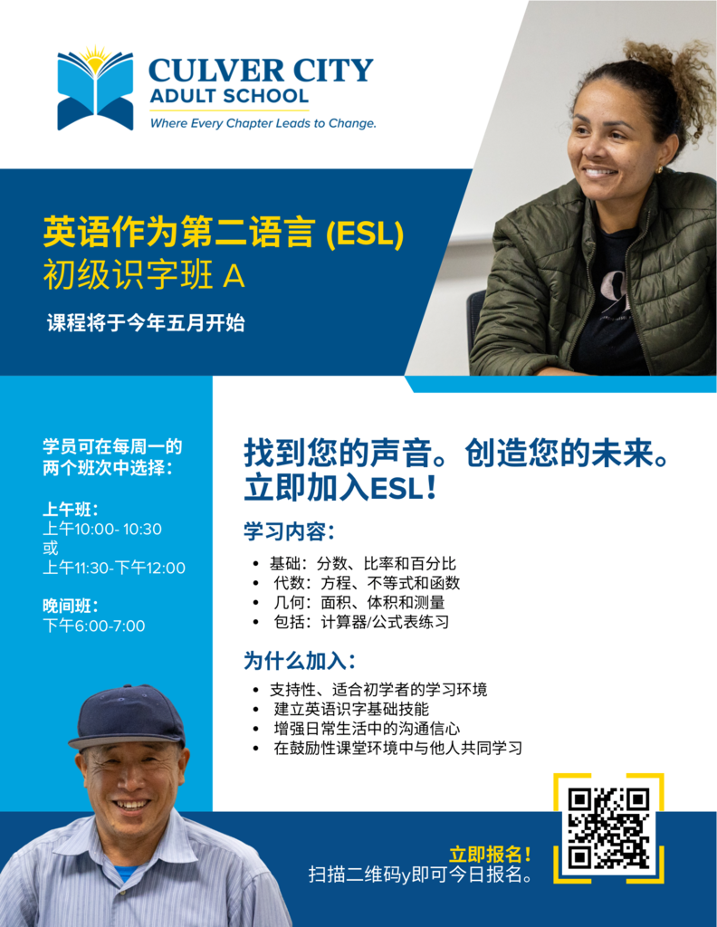 mandarin biliteracy flier