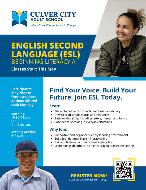 beginning literacy flier