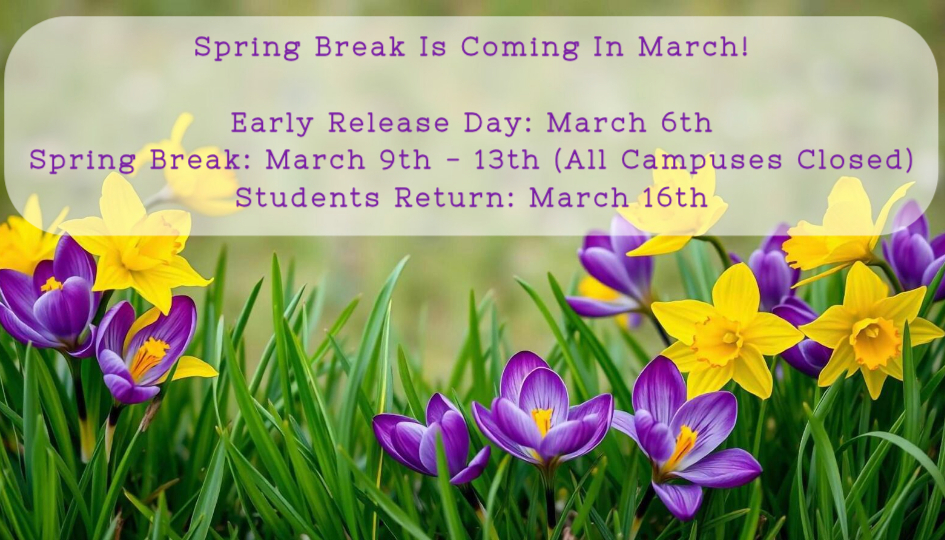 spring break graphic