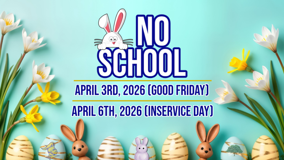 no school banner