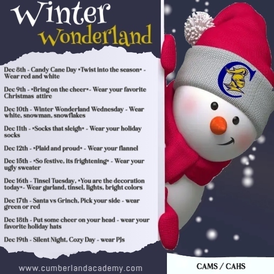 winter wonderland graphic